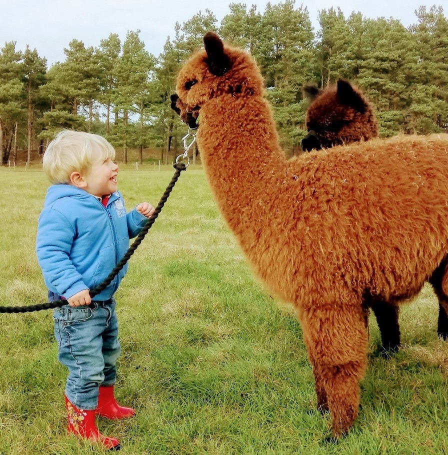 Mini Trek and Picnic Time Included