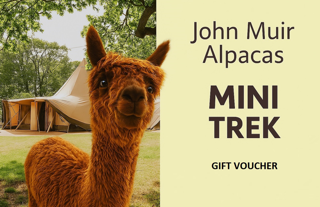 Mini trek - Gift vouchers